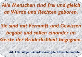 Unsere Demokratie benötigt den Europäischen Gerichtshof für Menschenrechte